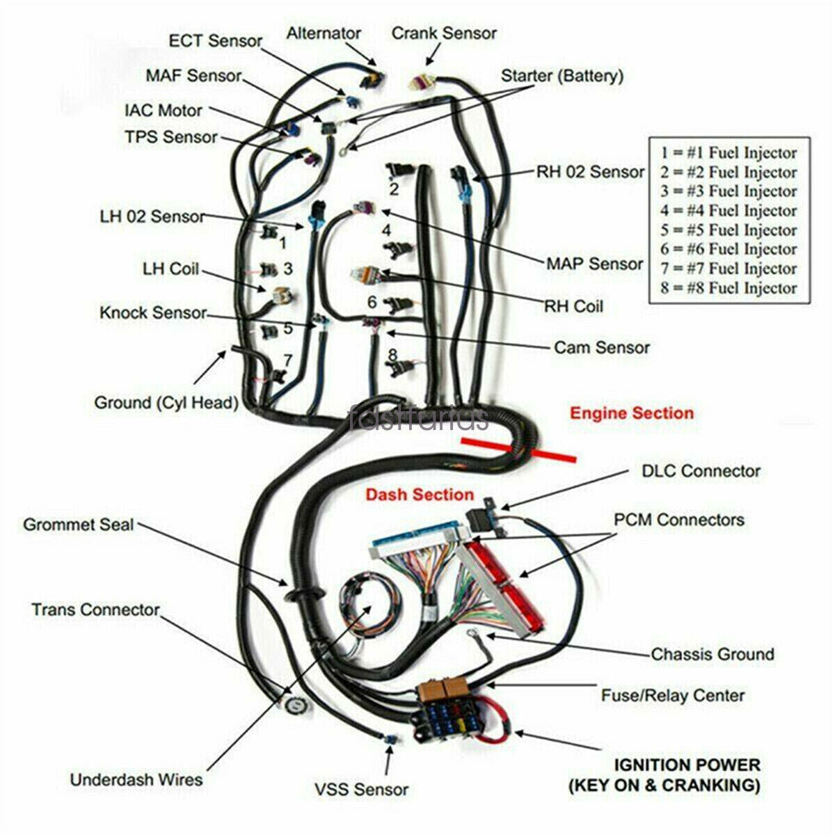 LS1 4L60E Stand Alone Harness for LS SWAP 4.8 5.3 6.0 97-06 Drive by Cable DBC